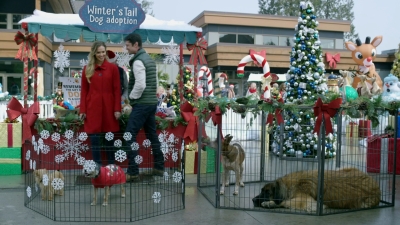 2017_-_Four_Christmases_and_A_Wedding_mp40876.jpg