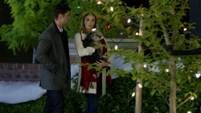 2017_-_Four_Christmases_and_A_Wedding_mp44942.jpg
