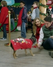 Filename=2017_-_Four_Christmases_and_A_Wedding_mp40812.jpg
Filesize=1211KiB
Dimensions=1920x1080
Date added=Aug 11, 2025 2017_-_Four_Christmases_and_A_Wedding_mp40812.jpg