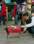 2017_-_Four_Christmases_and_A_Wedding_mp40813.jpg