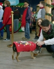 2017_-_Four_Christmases_and_A_Wedding_mp40814.jpg