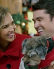 2017_-_Four_Christmases_and_A_Wedding_mp40822.jpg