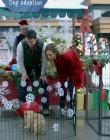 2017_-_Four_Christmases_and_A_Wedding_mp40826.jpg
