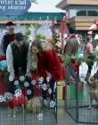 Filename=2017_-_Four_Christmases_and_A_Wedding_mp40831.jpg
Filesize=1480KiB
Dimensions=1920x1080
Date added=Aug 11, 2025 2017_-_Four_Christmases_and_A_Wedding_mp40831.jpg
