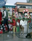 Filename=2017_-_Four_Christmases_and_A_Wedding_mp40876.jpg
Filesize=1341KiB
Dimensions=1920x1080
Date added=Aug 11, 2025 2017_-_Four_Christmases_and_A_Wedding_mp40876.jpg
