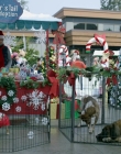Filename=2017_-_Four_Christmases_and_A_Wedding_mp40878.jpg
Filesize=1373KiB
Dimensions=1920x1080
Date added=Aug 11, 2025 2017_-_Four_Christmases_and_A_Wedding_mp40878.jpg
