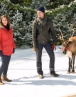 Filename=NorthernLightsOfChristmas_28629.jpg
Filesize=94KiB
Dimensions=768x512
Date added=Aug 12, 2025 NorthernLightsOfChristmas_28629.jpg