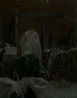 Filename=2018_-_Northern_Lights_of_Christmas_mkv0766.jpg
Filesize=679KiB
Dimensions=1920x1080
Date added=Aug 12, 2025 2018_-_Northern_Lights_of_Christmas_mkv0766.jpg