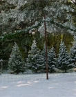 Filename=2018_-_Northern_Lights_of_Christmas_mkv3713.jpg
Filesize=1308KiB
Dimensions=1920x1080
Date added=Aug 12, 2025 2018_-_Northern_Lights_of_Christmas_mkv3713.jpg