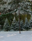 Filename=2018_-_Northern_Lights_of_Christmas_mkv3714.jpg
Filesize=1336KiB
Dimensions=1920x1080
Date added=Aug 12, 2025 2018_-_Northern_Lights_of_Christmas_mkv3714.jpg