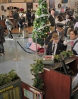 Filename=2019_-_Grounded_for_Christmas_mp40384.jpg
Filesize=1300KiB
Dimensions=1920x1080
Date added=Aug 12, 2025 2019_-_Grounded_for_Christmas_mp40384.jpg