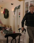 Filename=2019_-_Grounded_for_Christmas_mp43638.jpg
Filesize=945KiB
Dimensions=1920x1080
Date added=Aug 12, 2025 2019_-_Grounded_for_Christmas_mp43638.jpg