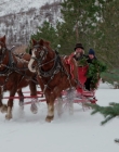 Filename=2019_-_Matchmaker_Christmas_mkv1822.jpg
Filesize=939KiB
Dimensions=1920x1080
Date added=Aug 12, 2025 2019_-_Matchmaker_Christmas_mkv1822.jpg