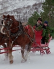 Filename=2019_-_Matchmaker_Christmas_mkv1823.jpg
Filesize=936KiB
Dimensions=1920x1080
Date added=Aug 12, 2025 2019_-_Matchmaker_Christmas_mkv1823.jpg