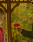 Filename=2021_-_Love_in_Whitbrooke_mp42912.jpg
Filesize=924KiB
Dimensions=1920x1080
Date added=Aug 10, 2025 2021_-_Love_in_Whitbrooke_mp42912.jpg