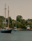 2021_-_Moonshine_S01E04_mkv0893.jpg