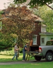 Filename=2022_-_Lemonade_Stand_Romance_mp42327.jpg
Filesize=1732KiB
Dimensions=1920x1080
Date added=Aug 11, 2025 2022_-_Lemonade_Stand_Romance_mp42327.jpg