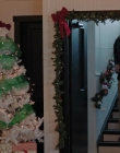 Filename=2023_-_Everything_Christmas_mp40981.jpg
Filesize=875KiB
Dimensions=1920x1080
Date added=Aug 11, 2025 2023_-_Everything_Christmas_mp40981.jpg