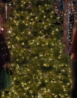 Filename=2023_-_Everything_Christmas_mp43353.jpg
Filesize=1200KiB
Dimensions=1920x1080
Date added=Aug 11, 2025 2023_-_Everything_Christmas_mp43353.jpg