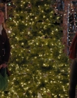 Filename=2023_-_Everything_Christmas_mp43354.jpg
Filesize=1196KiB
Dimensions=1920x1080
Date added=Aug 11, 2025 2023_-_Everything_Christmas_mp43354.jpg