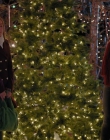 Filename=2023_-_Everything_Christmas_mp43356.jpg
Filesize=1203KiB
Dimensions=1920x1080
Date added=Aug 11, 2025 2023_-_Everything_Christmas_mp43356.jpg