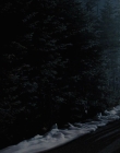 Filename=2023_-_Everything_Christmas_mp43431.jpg
Filesize=671KiB
Dimensions=1920x1080
Date added=Aug 11, 2025 2023_-_Everything_Christmas_mp43431.jpg