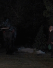 Filename=2023_-_Everything_Christmas_mp43481.jpg
Filesize=805KiB
Dimensions=1920x1080
Date added=Aug 11, 2025 2023_-_Everything_Christmas_mp43481.jpg