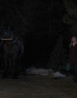 Filename=2023_-_Everything_Christmas_mp43482.jpg
Filesize=835KiB
Dimensions=1920x1080
Date added=Aug 11, 2025 2023_-_Everything_Christmas_mp43482.jpg
