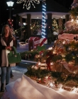 Filename=2023_-_Everything_Christmas_mp44944.jpg
Filesize=1134KiB
Dimensions=1920x1080
Date added=Aug 11, 2025 2023_-_Everything_Christmas_mp44944.jpg