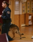 Filename=2024_-_Jazz_Ramsey_A_K-9_Mystery_mp40503.jpg
Filesize=715KiB
Dimensions=1920x1080
Date added=Aug 11, 2025 2024_-_Jazz_Ramsey_A_K-9_Mystery_mp40503.jpg