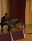 Filename=2024_-_Jazz_Ramsey_A_K-9_Mystery_mp40504.jpg
Filesize=706KiB
Dimensions=1920x1080
Date added=Aug 11, 2025 2024_-_Jazz_Ramsey_A_K-9_Mystery_mp40504.jpg