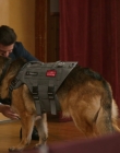 Filename=2024_-_Jazz_Ramsey_A_K-9_Mystery_mp40508.jpg
Filesize=723KiB
Dimensions=1920x1080
Date added=Aug 11, 2025 2024_-_Jazz_Ramsey_A_K-9_Mystery_mp40508.jpg