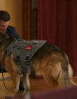 Filename=2024_-_Jazz_Ramsey_A_K-9_Mystery_mp40509.jpg
Filesize=744KiB
Dimensions=1920x1080
Date added=Aug 11, 2025 2024_-_Jazz_Ramsey_A_K-9_Mystery_mp40509.jpg