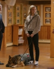 Filename=2024_-_Jazz_Ramsey_A_K-9_Mystery_mp40566.jpg
Filesize=814KiB
Dimensions=1920x1080
Date added=Aug 11, 2025 2024_-_Jazz_Ramsey_A_K-9_Mystery_mp40566.jpg