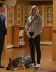 Filename=2024_-_Jazz_Ramsey_A_K-9_Mystery_mp40571.jpg
Filesize=890KiB
Dimensions=1920x1080
Date added=Aug 11, 2025 2024_-_Jazz_Ramsey_A_K-9_Mystery_mp40571.jpg